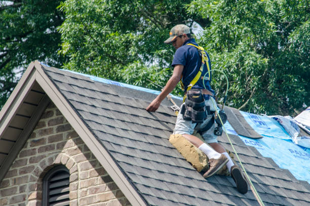 Quick and Trustworthy Emergency Roof Repair Services in Palacios, TX