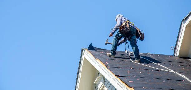 Best Storm Damage Roof Repair  in Palacios, TX